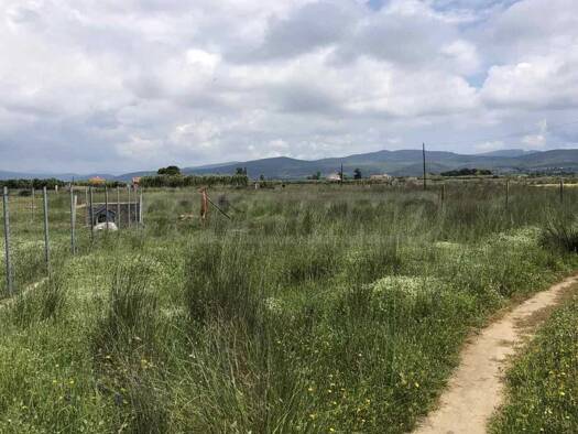 Landwirtschaftliche Fläche zum Kauf 120.000 € Polygyros Municipality