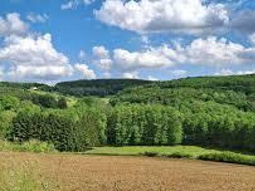 Land-/Forstwirtschaft zum Kauf Neustift 7545