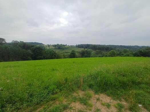 Grundstück zum Kauf 229.000 € 1.370 m² Grundstück Winterscheid Ruppichteroth 53809