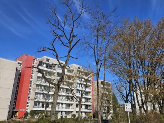 Wohnung zur Miete 480 € 2 Zimmer 58 m² Dörnbergstraße 38 Hehlentor Celle 29223