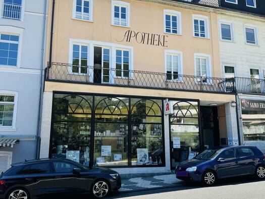 Mehrfamilienhaus zum Kauf 895.000 € 11 Zimmer 380 m² 564 m² Grundstück Schlangenbad 65388