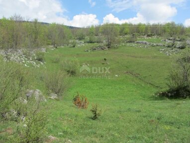 Land-/Forstwirtschaft zum Kauf 80.000 € Krasno Polje 53270