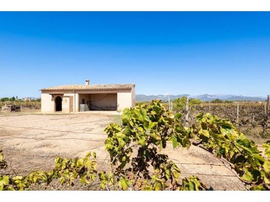 Acker-/Waldstück zum Kauf 639.000 € Santa Maria del Camí 07320