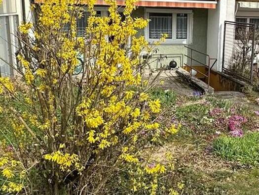 Reihenhaus zur Miete 2.000 € 5 Zimmer 120 m² frei ab sofort Orschel-Hagen Reutlingen 72760