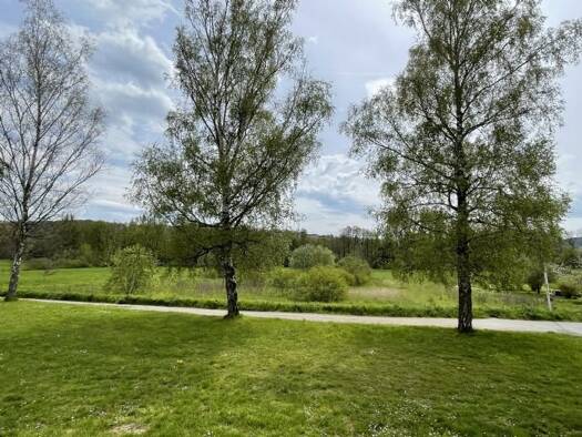 Wohnung zur Miete 545 € 3 Zimmer 84 m² Geschoss 1/3 frei ab 01.01.2026 Coburger Str. 10 Münnerstadt 97702