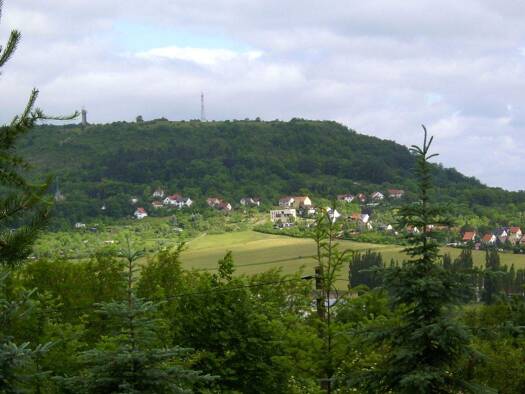 Haus zum Kauf 4 Zimmer 139,5 m² 3.800 m² Grundstück frei ab sofort Sondershausen Sondershausen 99706