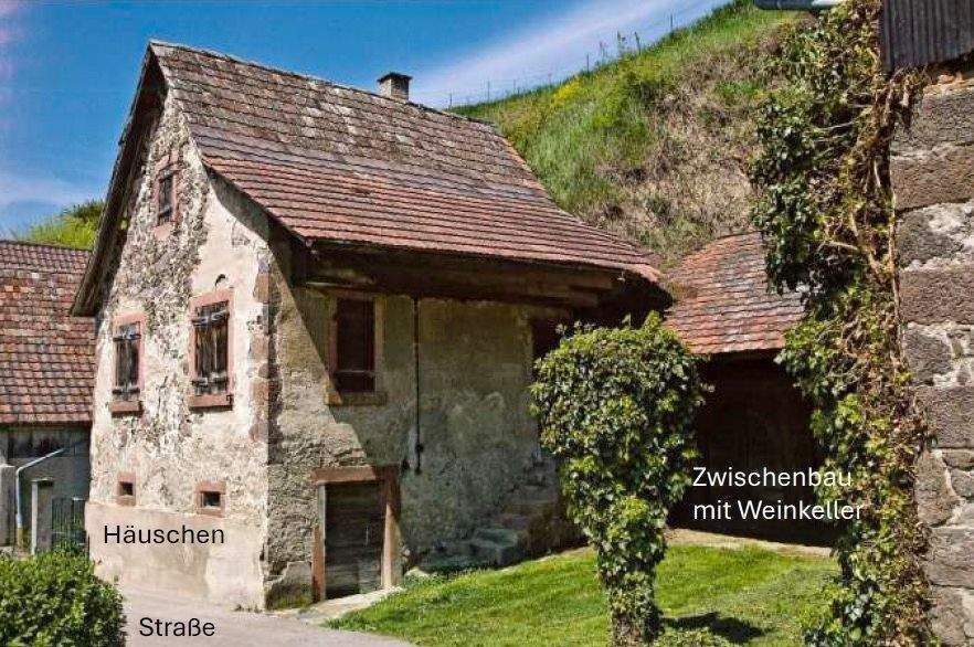 Immobilie in Vogtsburg im Kaiserstuhl - Kl. Weingut Vogtsburg-Bickensohl-Breisach + Wohnhs + Scheune + 2Rebterrassen + Löskeller + Sanierungskosten ca. 290T€ + hohes Steuersparen Denkmal - Bild 3