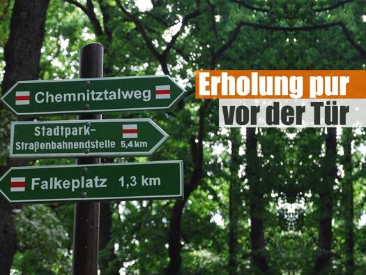 Wohnung zur Miete 740 € 4 Zimmer 90,4 m² Geschoss 2/4 frei ab 01.12.2026 Kapellenberg Kapellenberg 09120