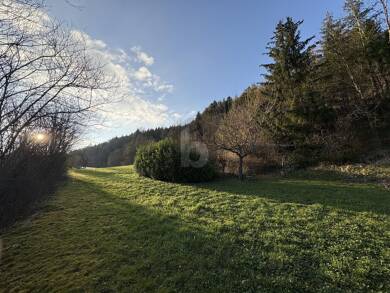 Freizeitgrundstück zum Kauf 58.000 € 2.606 m² Grundstück Hopfau Sulz am Neckar 72172