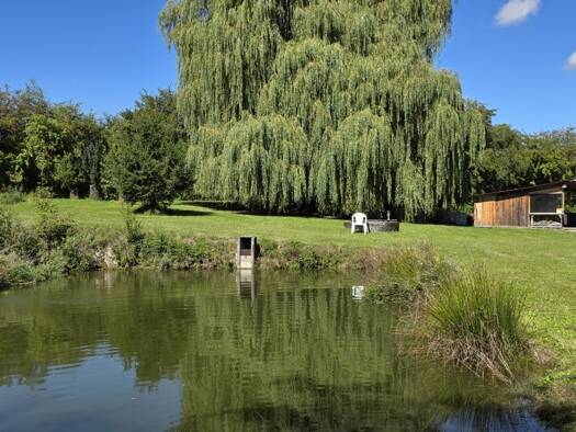 Land-/Forstwirtschaft zum Kauf 269.000 € 6.214 m² Grundstück Eugenbach Altdorf / Eugenbach 84032