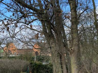 Bauernhof zum Kauf 700.000 € Madsow Neuburg , NWM 23974