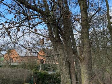 Bauernhof zum Kauf 700.000 € Madsow Neuburg , NWM 23974