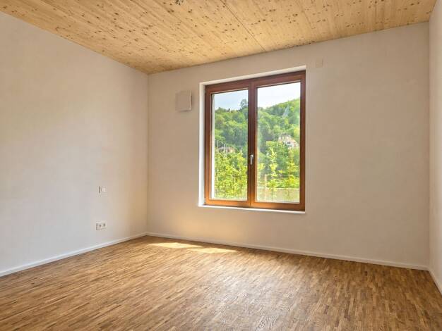 Doppelhaushälfte zum Kauf - Neubau provisionsfrei 1.535.000 € 5 Zimmer 162,1 m² Ziegelhausen Heidelberg 69118