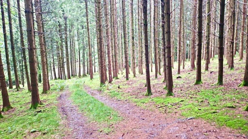 Land-/Forstwirtschaft zum Kauf 410.000 € 63.037 m² Grundstück Geiselloh Pleiskirchen 84568