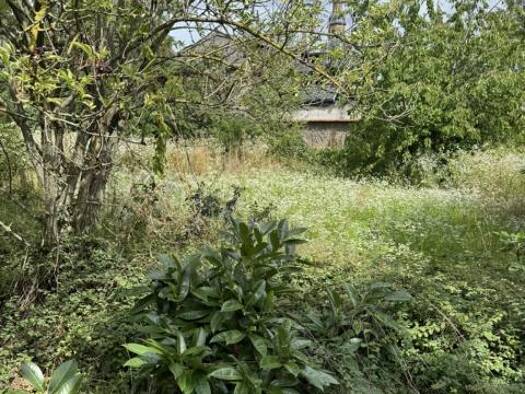 Grundstück zum Kauf 750.000 € 1.400 m² Grundstück Baugenehmigung vorhanden Römerstrasse 00 Lampertheim Lampertheim 68623