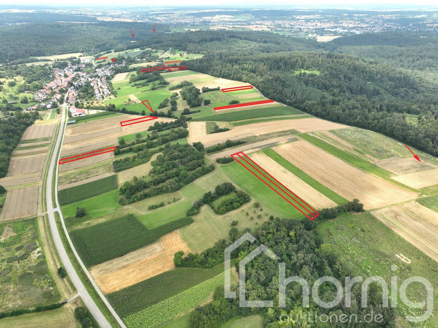 Land-/Forstwirtschaft zum Kauf 27.900 € 19.950 m²<br/>Grundstück Gölshausen Bretten / Sprantal 75015