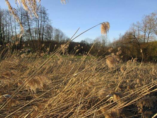 Grundstück zum Kauf Peter u. Paul Landshut 84028