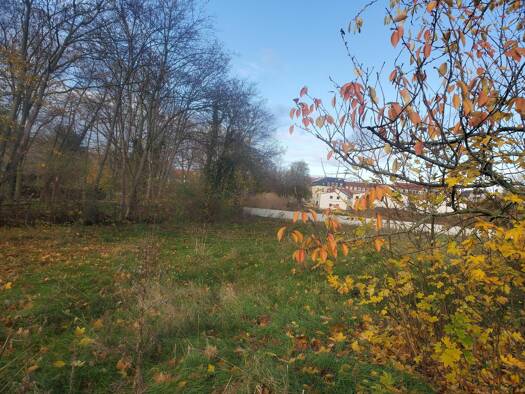 Grundstück zum Kauf 349.000 € 3.490 m² Grundstück Altriesa Riesa 01589