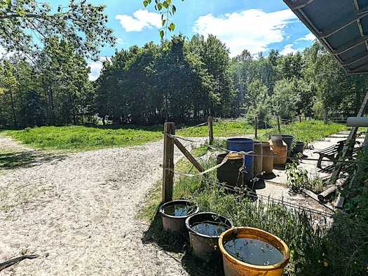 Bauernhaus zum Kauf 320.000 € 4 Zimmer 100 m² 23.000 m² Grundstück Neudorf Varel 26316