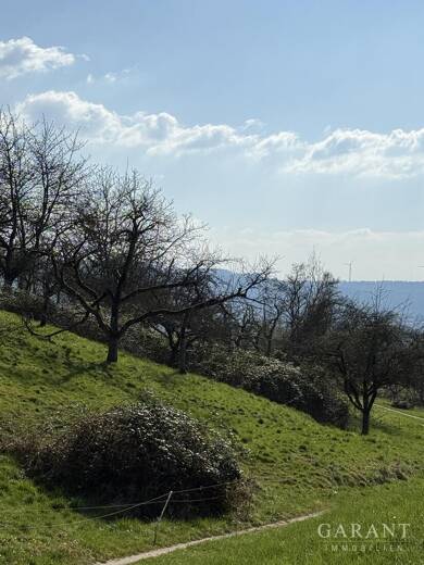 Freizeitgrundstück zum Kauf 8.500 € 1.203 m² Grundstück Urbach Urbach 73660