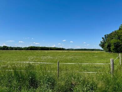 Landwirtschaftliche Fläche zum Kauf als Kapitalanlage geeignet 99.999 € 10.000 m² Grundstück Türkheim Türkheim 86842