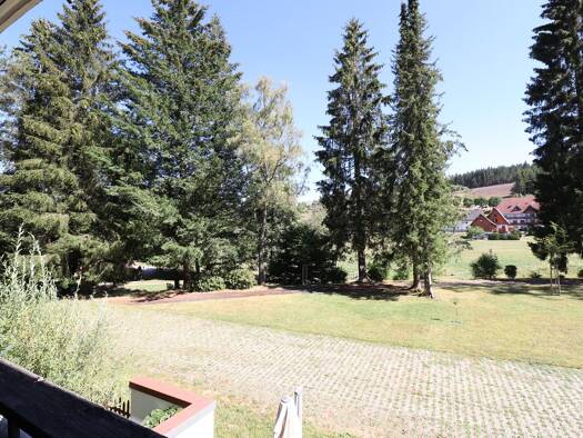 Wohnung zum Kauf 49.900 € 1 Zimmer 36 m² Schönwald im Schwarzwald 78141