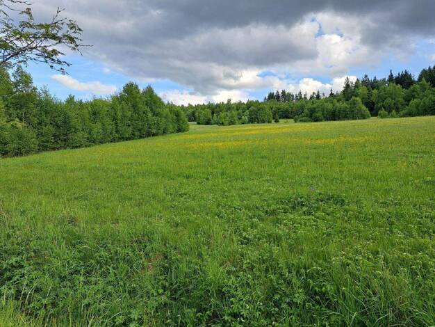 Gewerbegrundstück zum Kauf 1.250.000 € 33.621 m² Grundstück Lichtenberg 95192