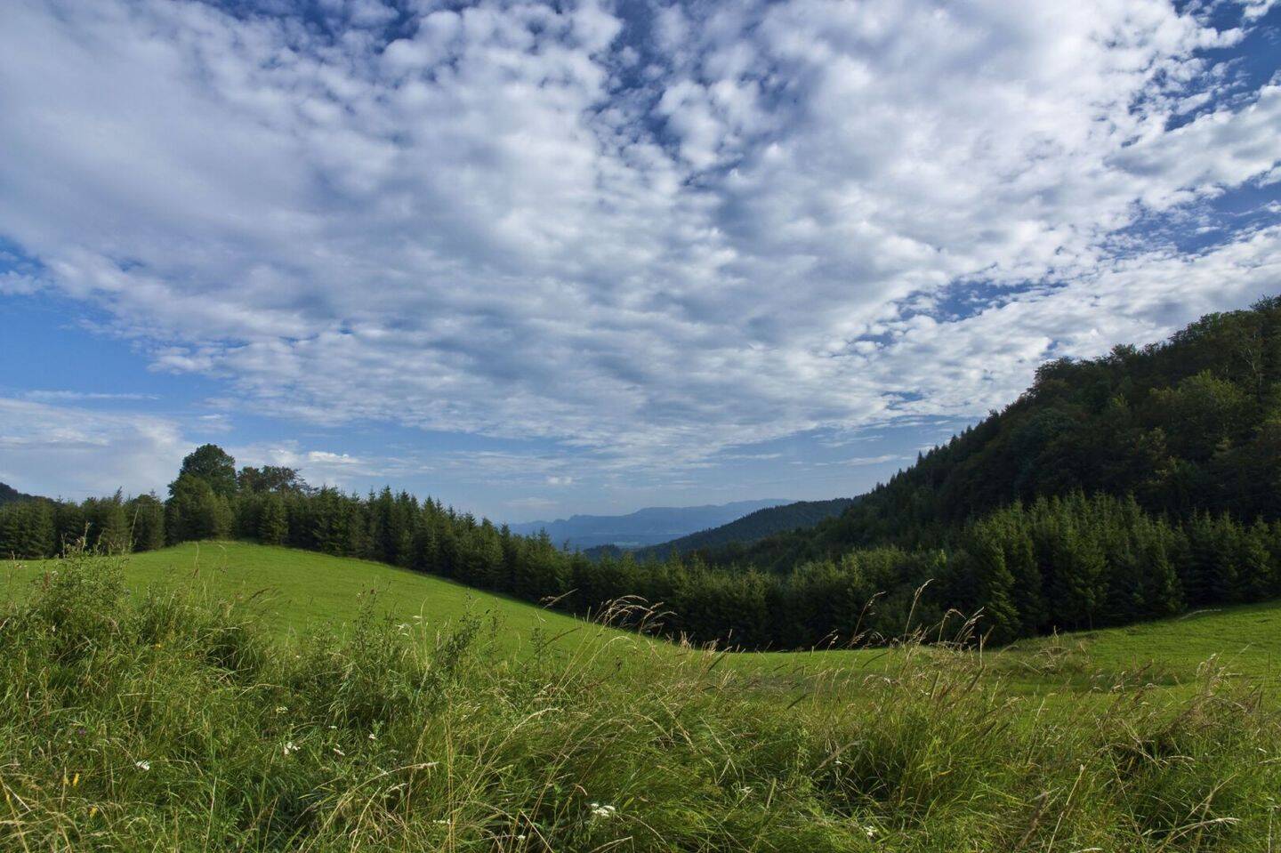 Tokë
