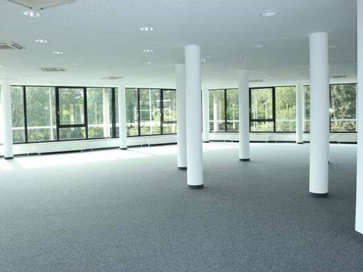 Bürogebäude zur Miete provisionsfrei 11,50 € 1.109 m² Bürofläche teilbar ab 250 m² Zeppelinheim Neu-Isenburg 63263