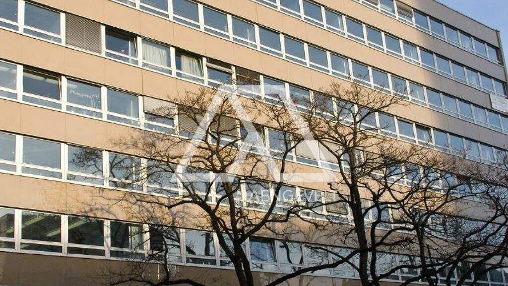 Bürofläche zur Miete provisionsfrei 13 € 2.125 m² Bürofläche teilbar ab 531 m² Sachsenhausen Frankfurt am Main 60598