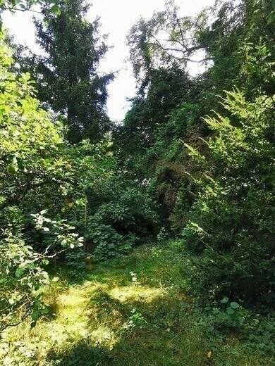 Grundstück zum Kauf 227.890 € 410 m² Grundstück Glienicke/Nordbahn 16548