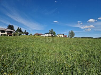 Grundstück zum Kauf 774 m² Grundstück Eitzing 4970