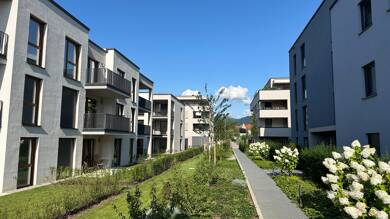 Terrassenwohnung zum Kauf - Neubau provisionsfrei 419.000 € 4 Zimmer 96,5 m² EG frei ab sofort Gemengeweg 6 Achern Achern 77855