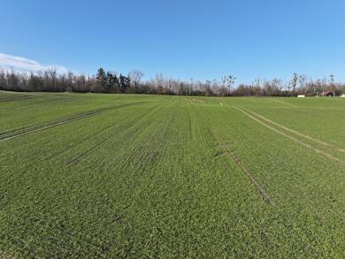 Land-/Forstwirtschaft zum Kauf 350.000 € 164.008 m² Möllenhagen Möllenhagen 17219