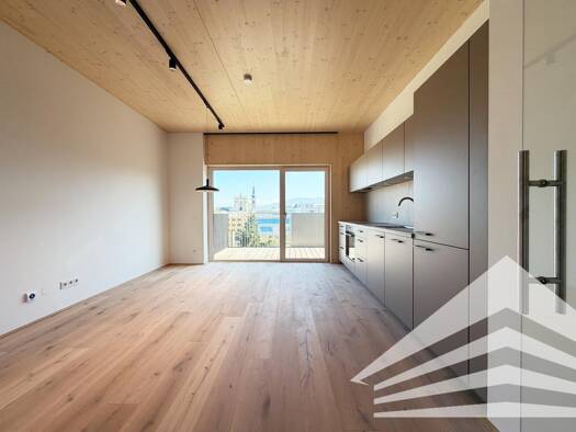 Wohnung zur Miete - Erstbezug 1.029 € 3 Zimmer 58,2 m² 5. Geschoss Herrenstraße 29a Linz Linz 4020
