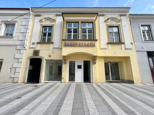 Sonstiges zum Kauf als Kapitalanlage geeignet 337.000 € 880 m² 650 m² Grundstück Wiener Neustadt 2700