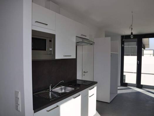 Studio zur Miete 766 € 1 Zimmer 45 m² frei ab sofort Offenbach am Main 63067