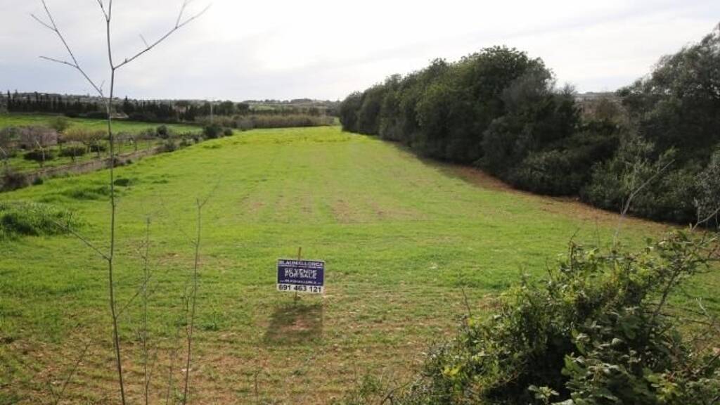 Haus zum Kauf 128.000 € 3 Zimmer 17.750 m² Grundstück Manacor