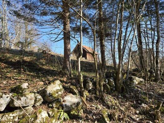 Haus zum Kauf 65.000 € 2 Zimmer 100 m² Brod Moravice Brod Moravice