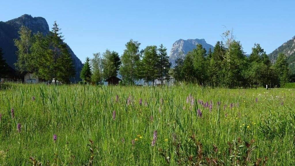 Grundstück zum Kauf 323.035 € 609,5 m² Grundstück Ebensee 4802