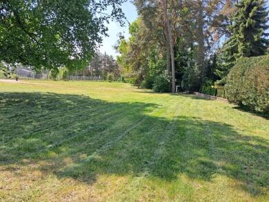 Grundstück zum Kauf provisionsfrei 50.000 € 786 m² Grundstück Waldsiedlung 1a Torgelow Torgelow 17358