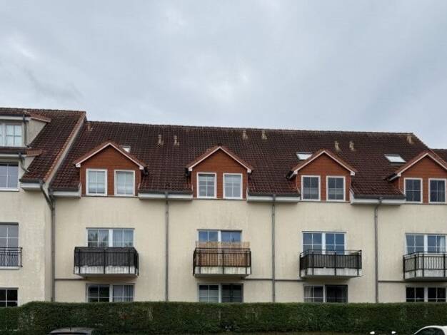 Studio zur Miete 310 € 1 Zimmer 31,4 m² frei ab 15.04.2026 Nördliche Mühlenvorstadt Greifswald 17489