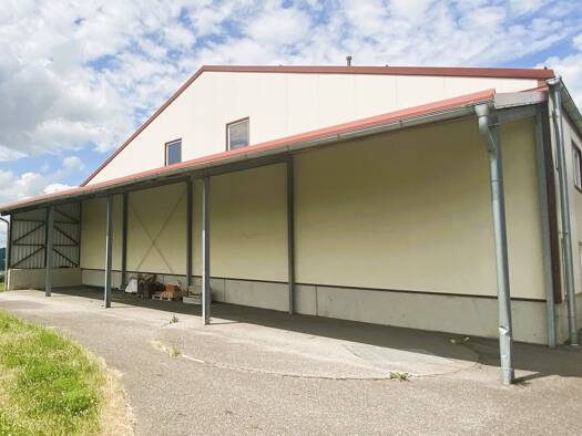 Lagerhalle zur Miete 1.800 € 600 m² Lagerfläche St. Nikola an der Donau 4381