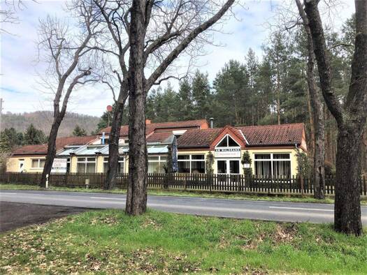 Gewerbeobjekt zum Kauf 1.560 m² Grundstück Hosterwitz/Pillnitz Ortsamtsbereich Loschwitz 01326