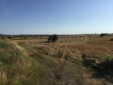 Landwirtschaftliche Fläche zum Kauf 120.000 € Afitos