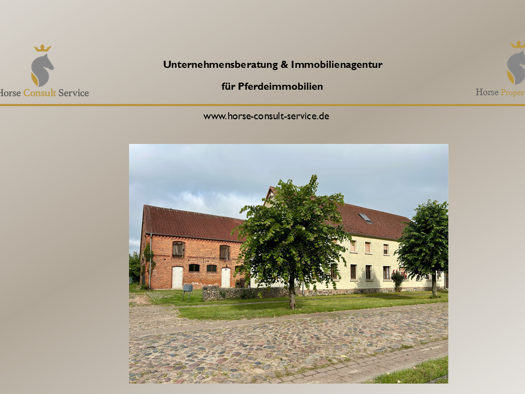 Mehrfamilienhaus zum Kauf 875.000 € 440 m² 5.582 m² Grundstück Babe Neustadt (Dosse) 16845