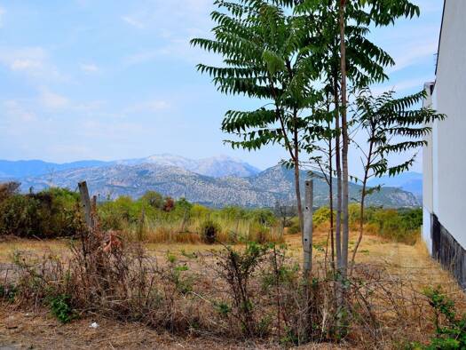 Grundstück zum Kauf 169.000 € 445 m² Grundstück Dorgali (Provinz Nuoro) 08022