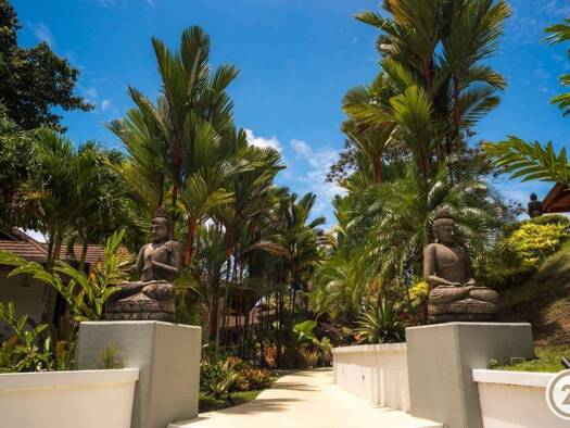 Studio zum Kauf 3.263.702 € 900 m² Limón Talamanca Cahuita Hone Creek 70403