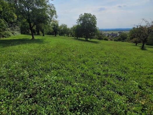 Land-/Forstwirtschaft zum Kauf 18.896 € 2.907 m² Grundstück Fischingen 79592