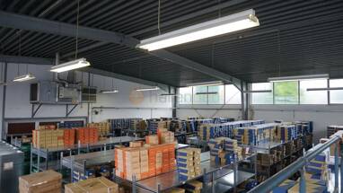 Lagerhalle zur Miete provisionsfrei 2.000 € 378 m² Lagerfläche Andernach Andernach 56626
